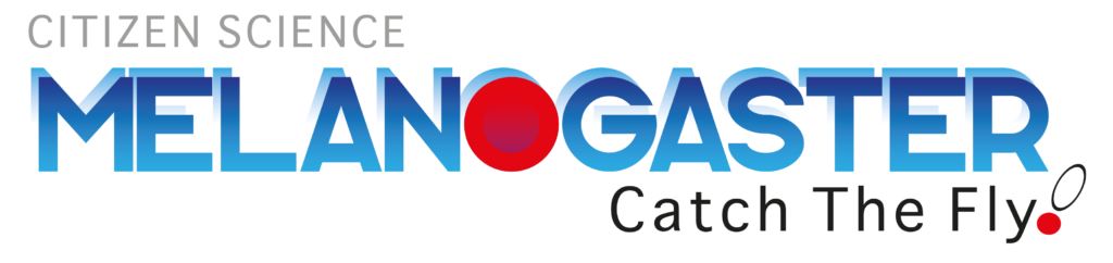 Citizen Science Melanogaster Catch The Fly